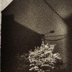 Le dimanche à Salzinnes