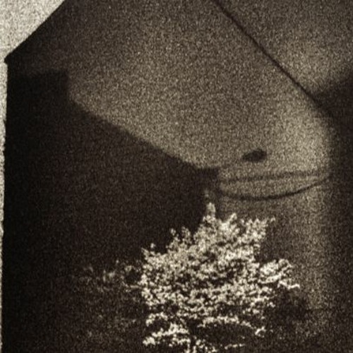 Le dimanche à Salzinnes