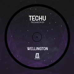 Techu - Wellington