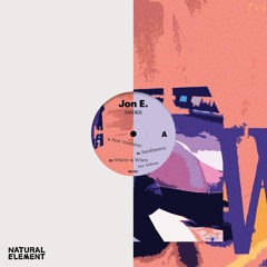 PREMIERE: Jon E. - Where & When (feat. Aasheiaa) [Natural Element]