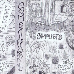 NB03t - Simplists - Over SImplifies Reality Lp