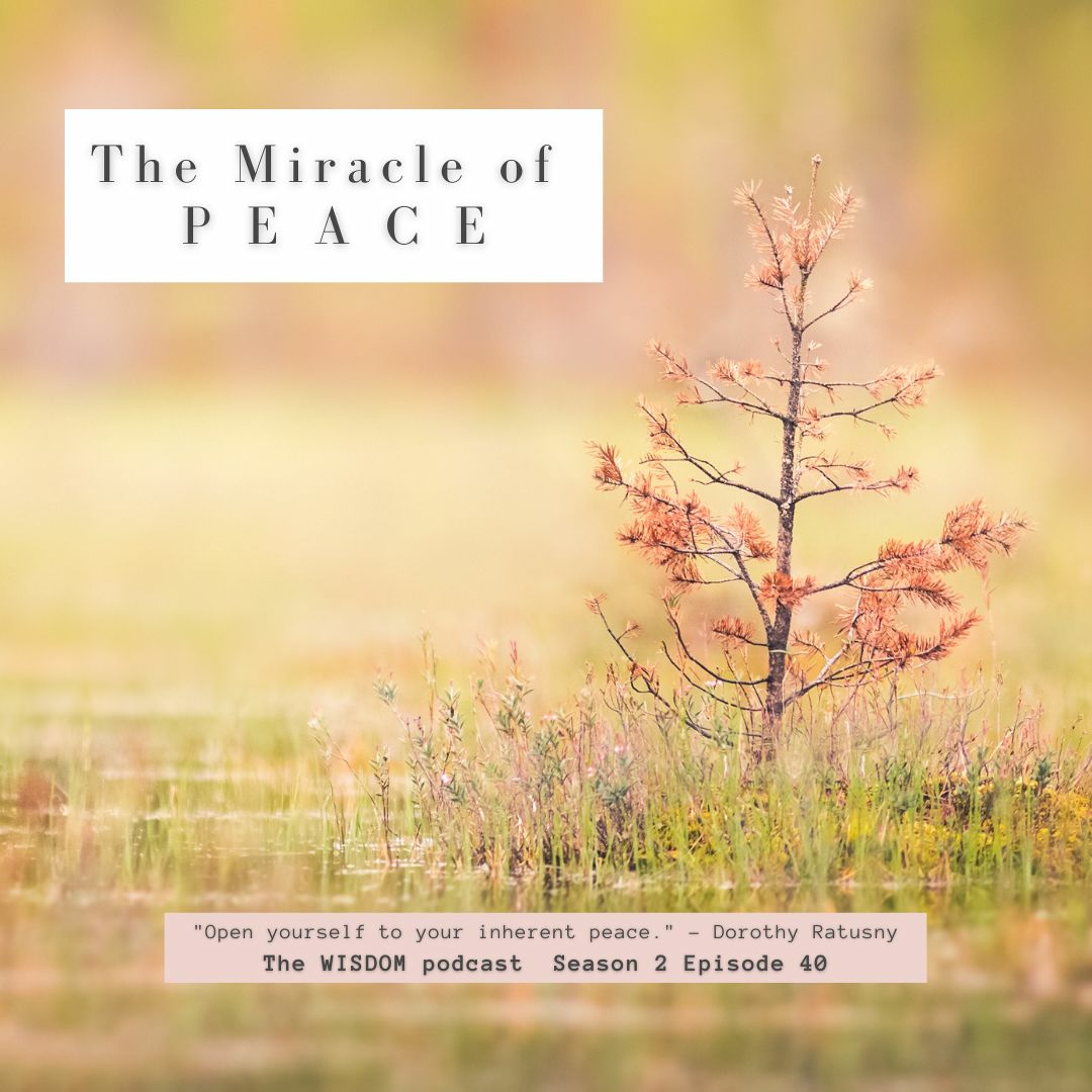 the WISDOM PODCAST