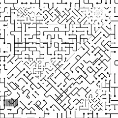 Boletus in Palude (155BPM)