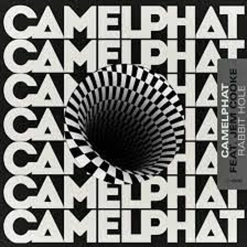 Camelphat Rabbit Hole James West remix