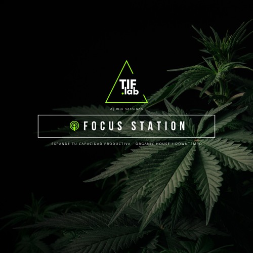 Donwtempo Zen. - Focus Station <> Weed collection