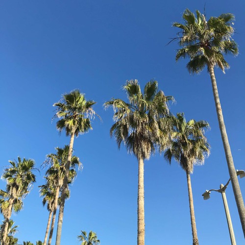while in la