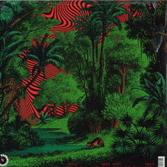 The Jungle's Beauty (ORIGINAL)