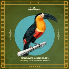 Premiere: Rich Towers - The Purpose (Vandelor Remix) [Dialtone Records]