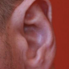 Your Favorite Song: Breath w/ Arto Lindsay & Ben Ratliff 010525