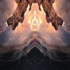 bliss of ego death~∞~fractal garden