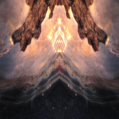 bliss of ego death~∞~fractal garden