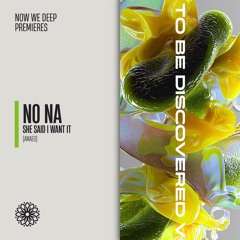NWD PREMIERE | No Na - She Said I Want It [Amaeo]