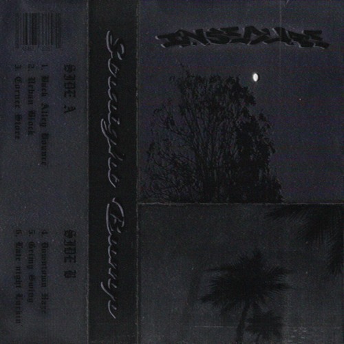 INSECURE - CORNER STORE