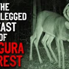 "The long legged beast of the Magura Forest" Creepypasta