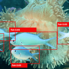 Explore how computer vision AI enhances underwater object detection & classification