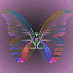 003