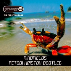 THE PRODIGY - MINDFIELDS [METODI HRISTOV BOOTLEG] free download