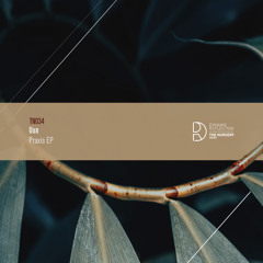 Vague Reality (Original Mix)