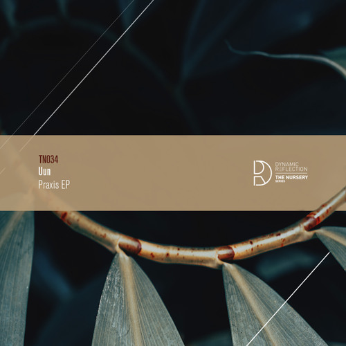 Vague Reality (Original Mix)
