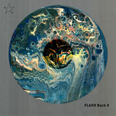 Hidden Populations (Flug Remix)