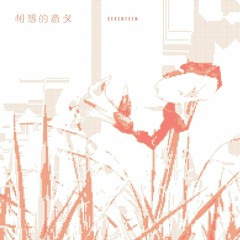 SEVENTEEN(세븐틴)-The Meaning of Meeting (相遇的意义)