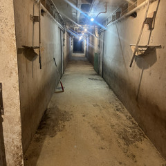 how did we end up here