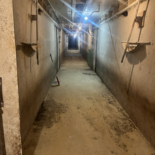 how did we end up here