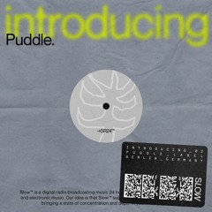 Introducing 02 [Puddle]