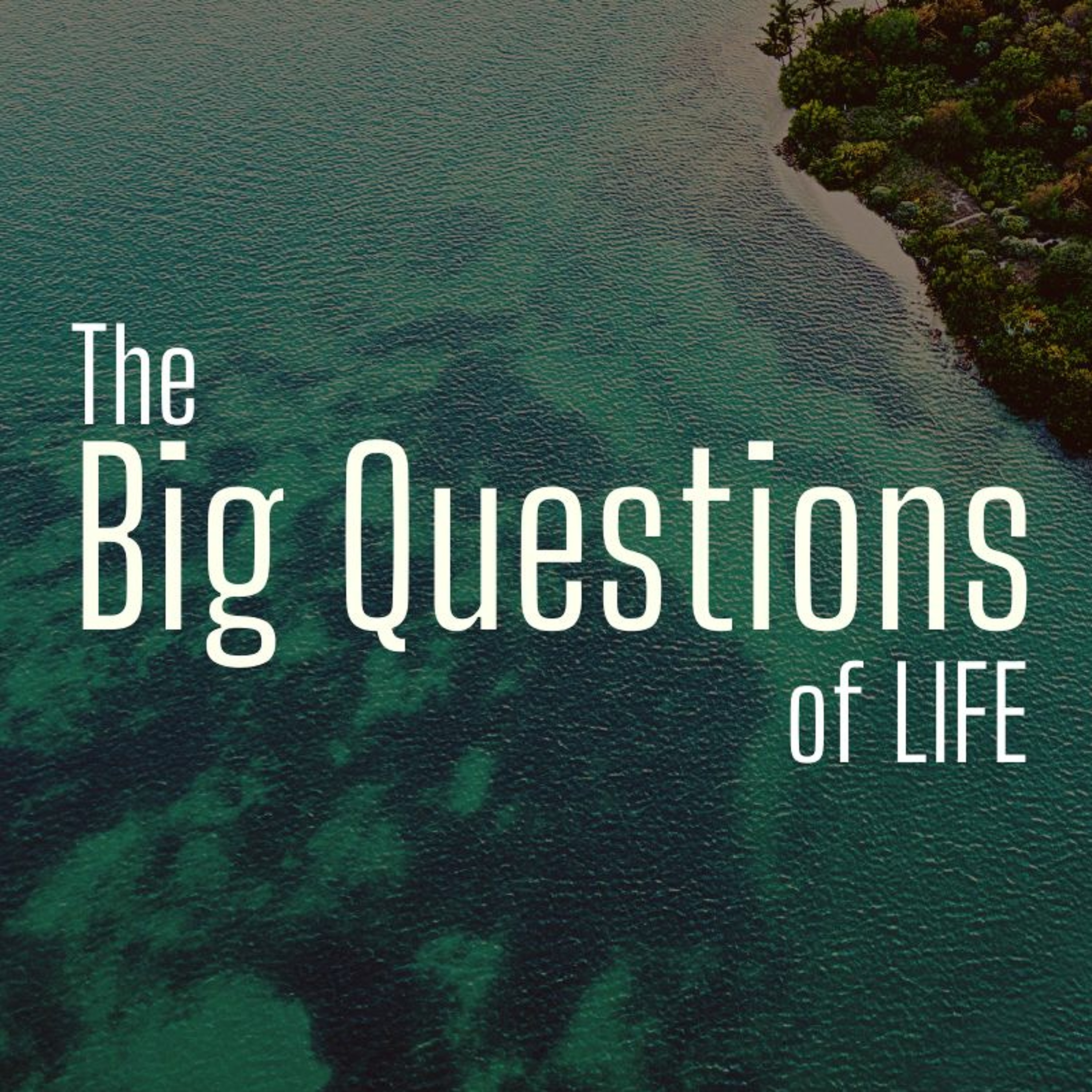 Does peace between nations equal a better world? - The Big Questions of Life - Week 4 episode artwork