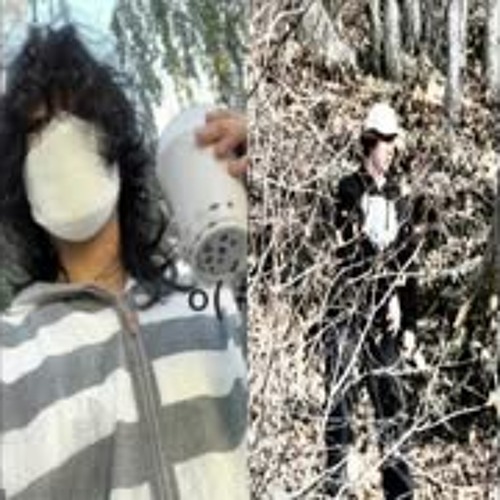 TURNABOUT - DAMNED WHISPS FT. i9bonsai