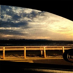 [cover] 선우정아(SWJA) - 도망가자(Run With Me) by 달보(Dalbo)