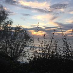 PriceOfLivin(freestyle)