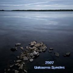 2507