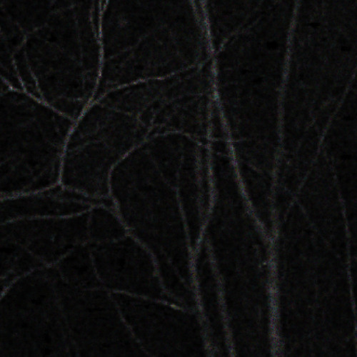 hypothermia (demo drag)