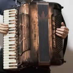 [Accordion]Kass' Theme (The Legend of Zelda Breath of the Wild OST)-remake!