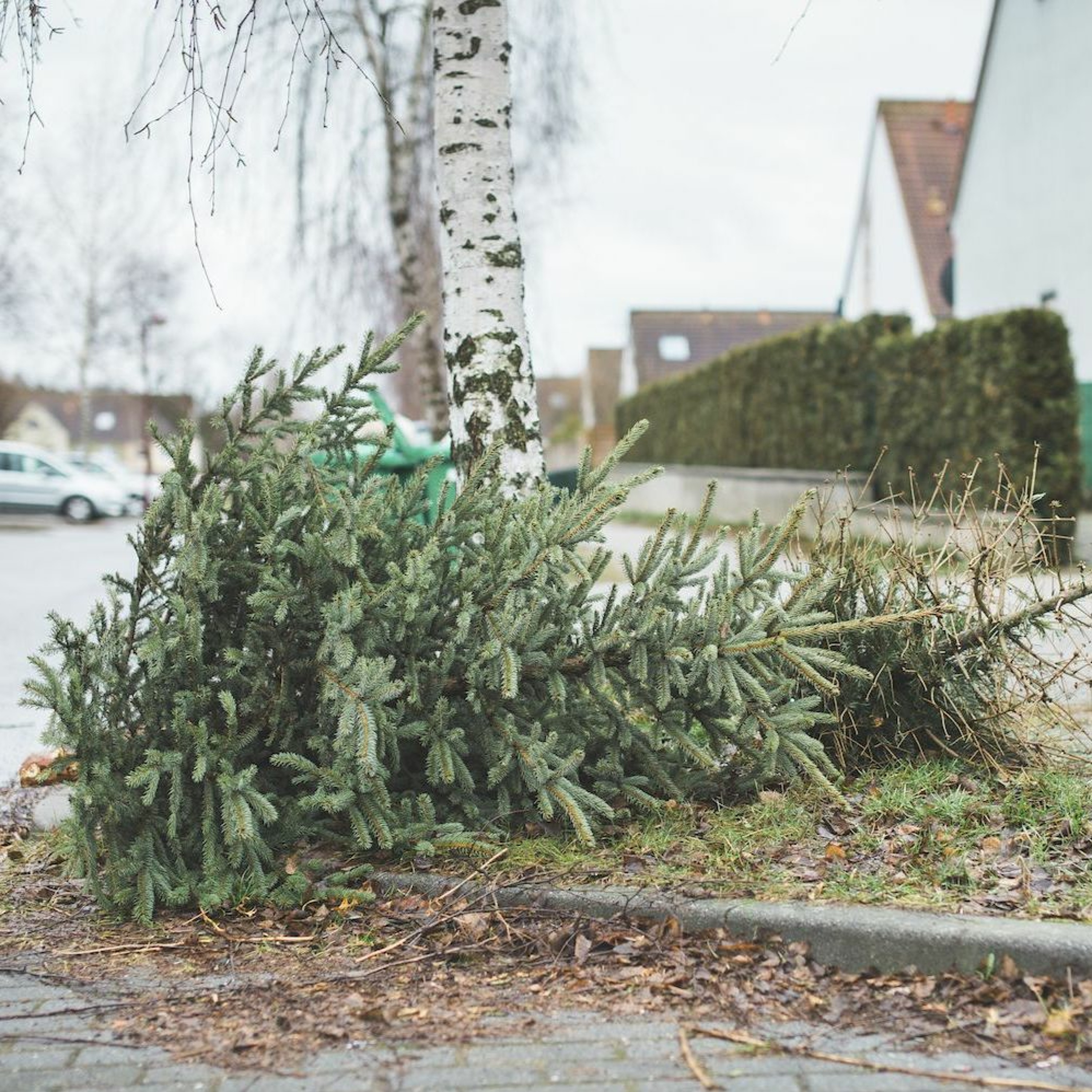 THE TOTALLY ON-TIME CHRISTEMBER WRAP - UP!