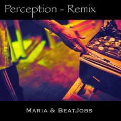 DLR, Script, MC Fokus - Perception (Maria&BeatJobs Remix)
