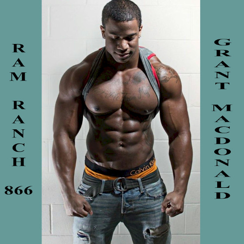 Ricky Ram Ranch Stream RAM RANCH 866 by Ram Ranch | Listen online for free on SoundCloud