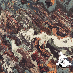 The Sponges - Space Funk '75 (Fractal Bloom Remix)