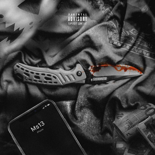 Ms13