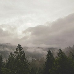 Another Sad Song (Prod. 101)