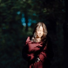 Fallen Leaves - Acoustic Cover