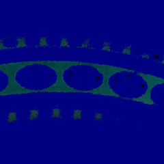 stateLess (Electric Guitar + Flashback Delay + Rocktek Chorus + Moen Uni-Comp, Recorded in 2022).