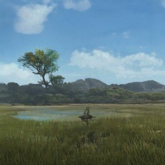 SUGAR TREE