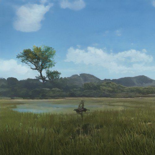 SUGAR TREE