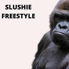 "SLUSHIE FREESTYLE" (prod seaboat)