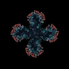 SOMMERS (UK) - Room 1.6 (Out 28th November)