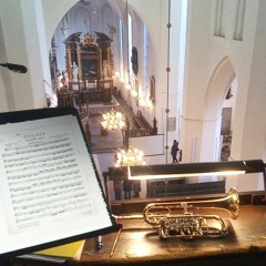 Albinoni Concerto In D Minor