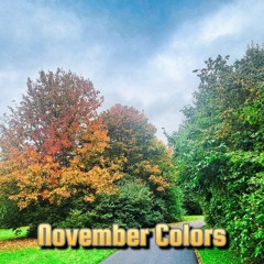 November Colors