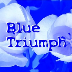 BlueTriumph - Marco Lucchi & Seelensack